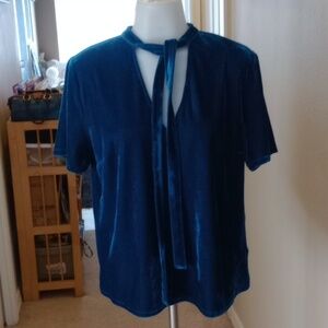 Sundays in Brooklyn teal velour/ velvet top with tie size medium